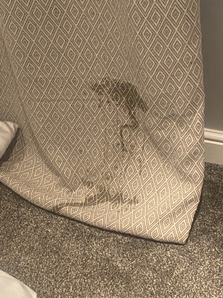 Any ideas on stopping house cats peeing on the curtain