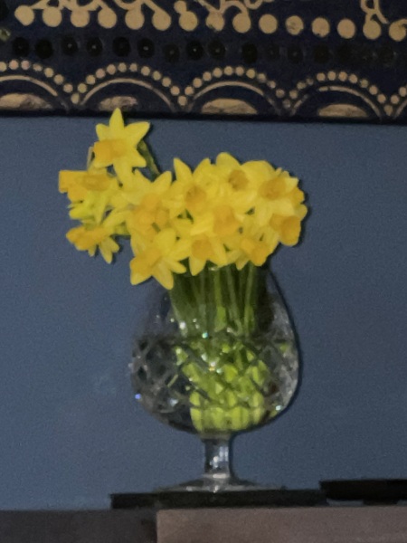 Where's all the daffodils? Brexit?