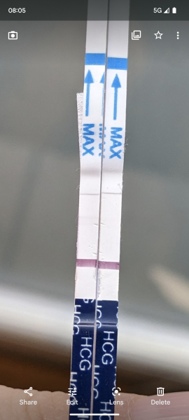 The TWW begins - testing 11/12 Feb. 