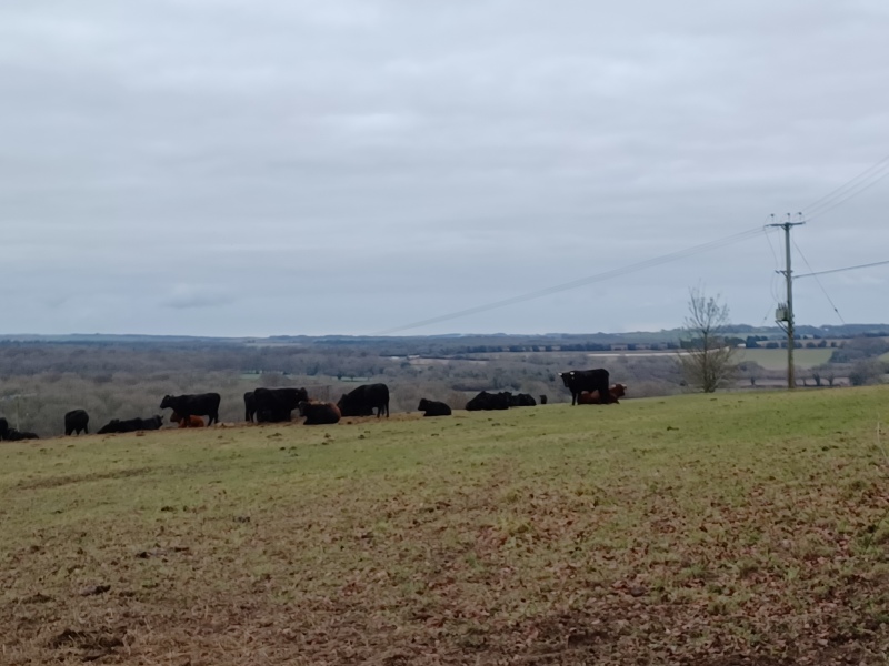 Come chat hiking with me!