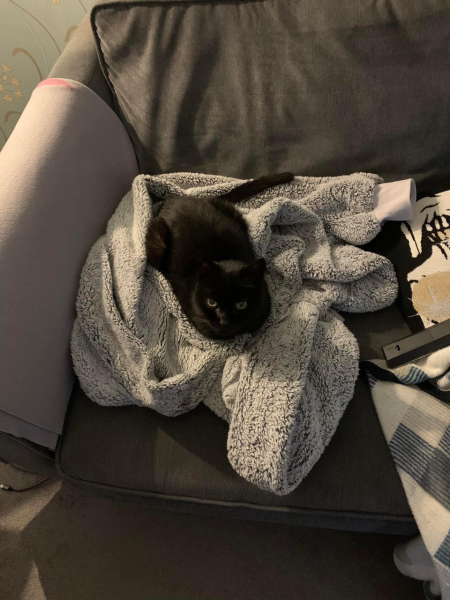 I'm cooooold!