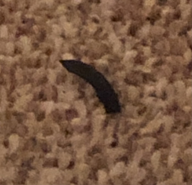 Yikes What Is This?