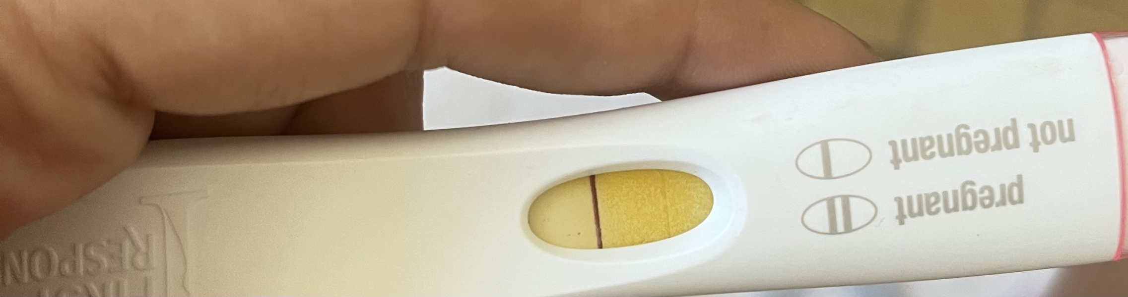 Can you believe this is a negative test! 