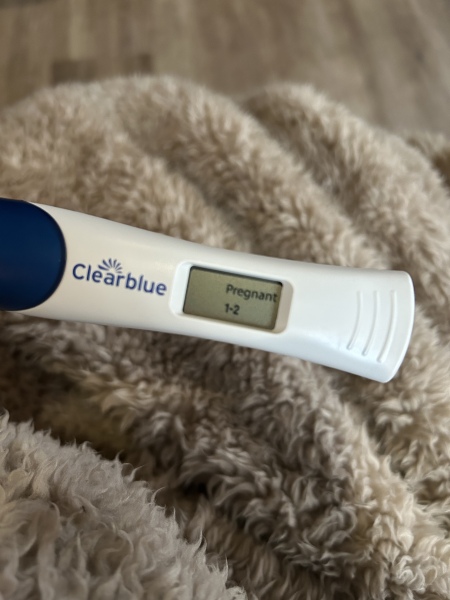 FET/IVF - January 2023