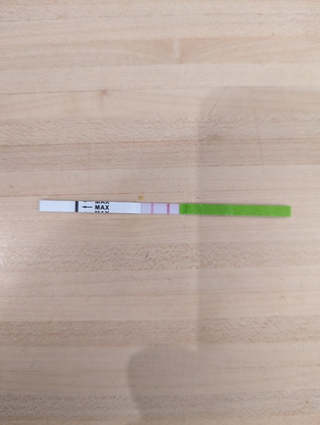Positive OPK, or not quite? 