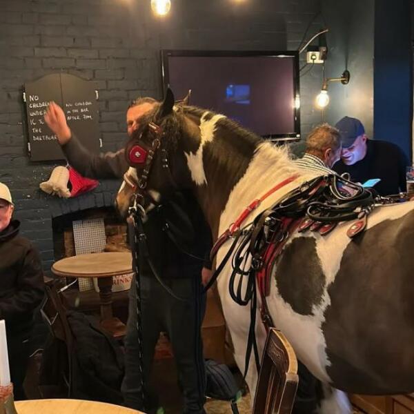 To wish for an adults only pub?