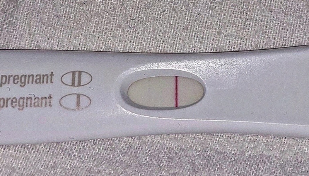 IVF February 2023