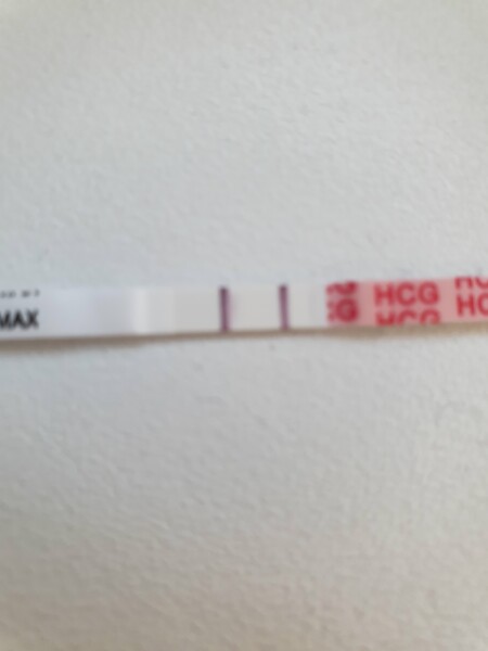 Ovulation after pregnancy loss