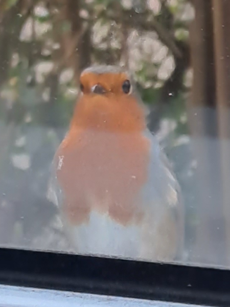 Big paragraphs appearing when I try to reply to threads 