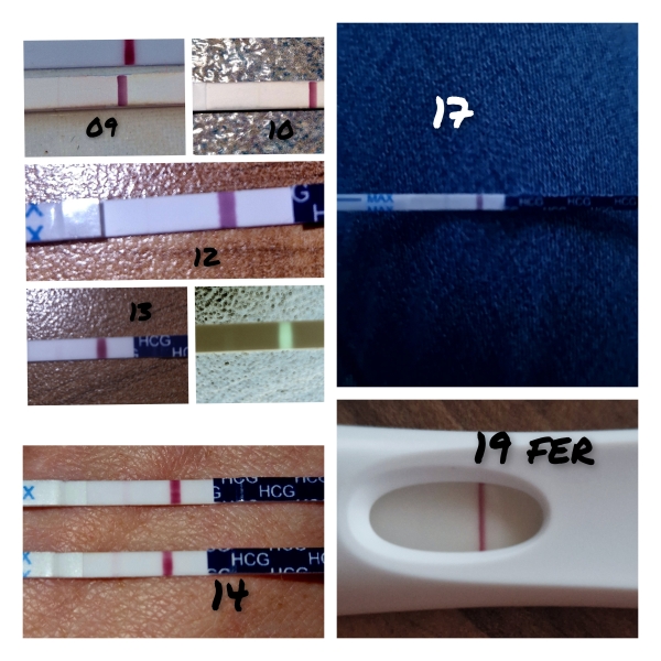 positive pregnancy tests in the evenings and negative in the day