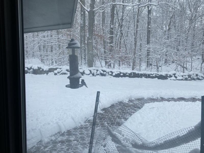 Come and tell me your dull and unexciting news 24: Calmly through the day 