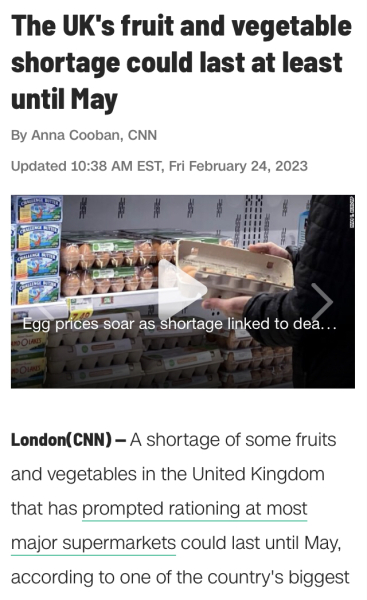 Where are all the tomatoes?