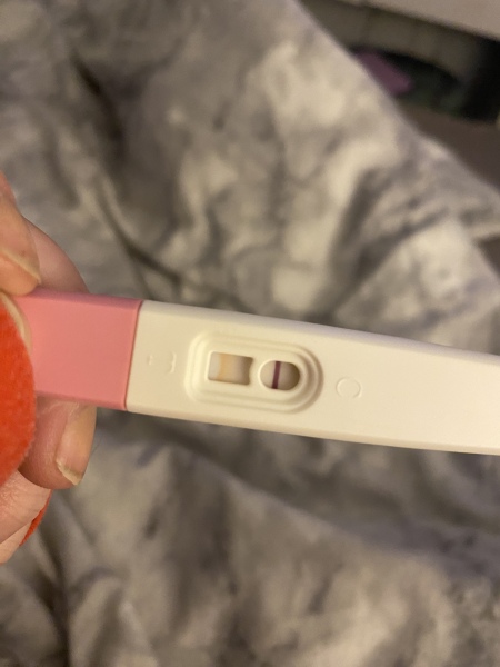 Bloody cheap pregnancy tests 