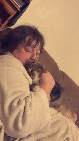 Cat Appreciation Post