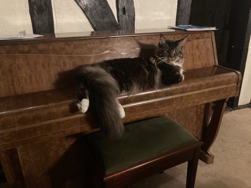 Come and tell me your dull and unexciting news 24: Calmly through the day 