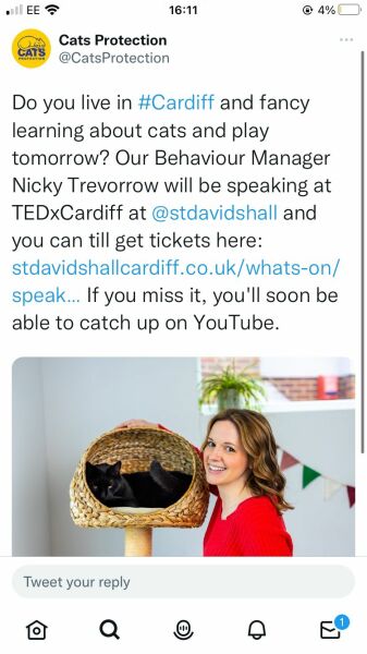 Help me entertain my super intelligent cat.
