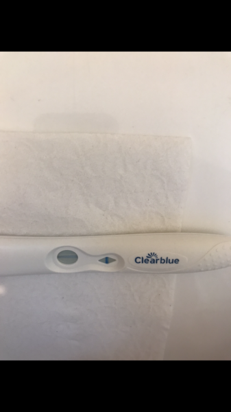 my pregnancy test