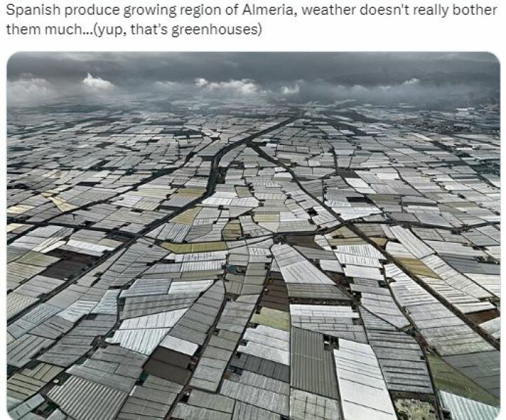 Fruit and veg shortages