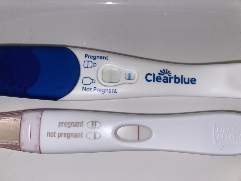 5dt Early Testers? 