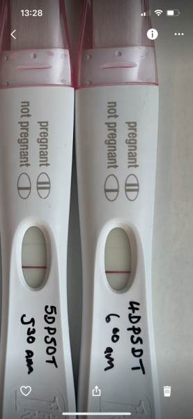 5dt Early Testers? 