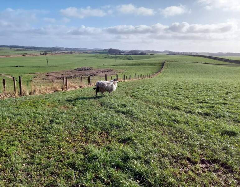 Missing Woman Nicola Bulley 6