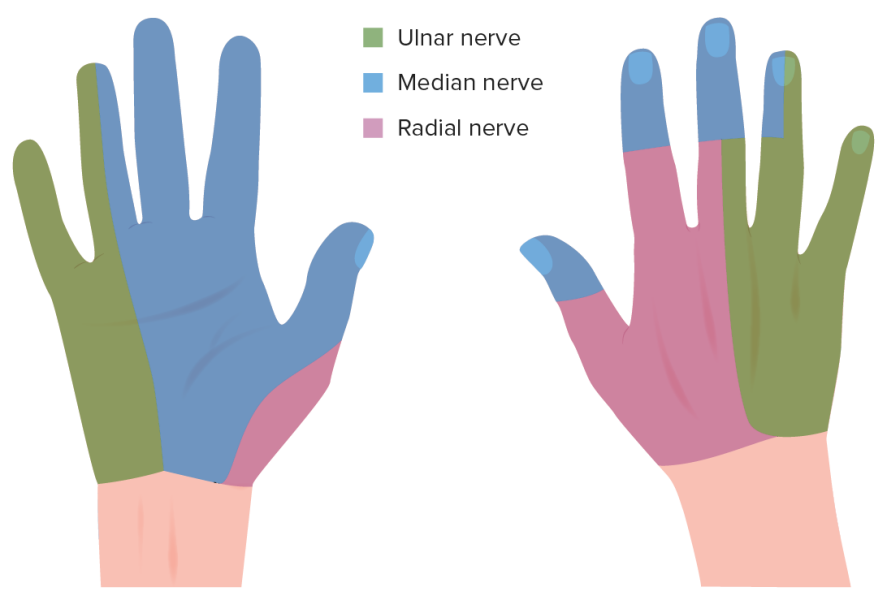 Odema and numbness in hands on waking