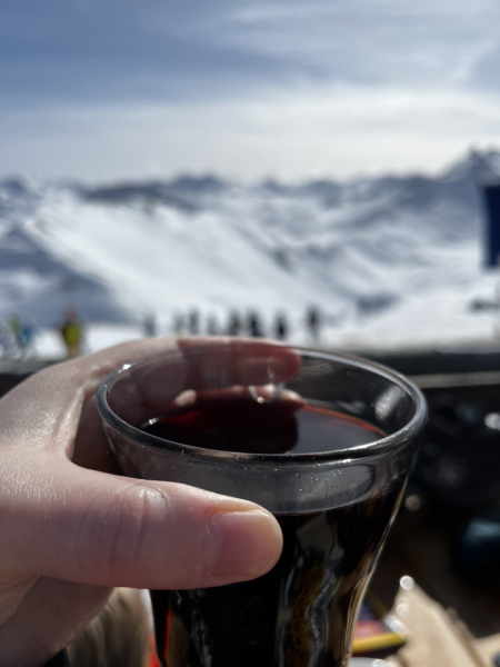 Anyone not enjoy skiing?