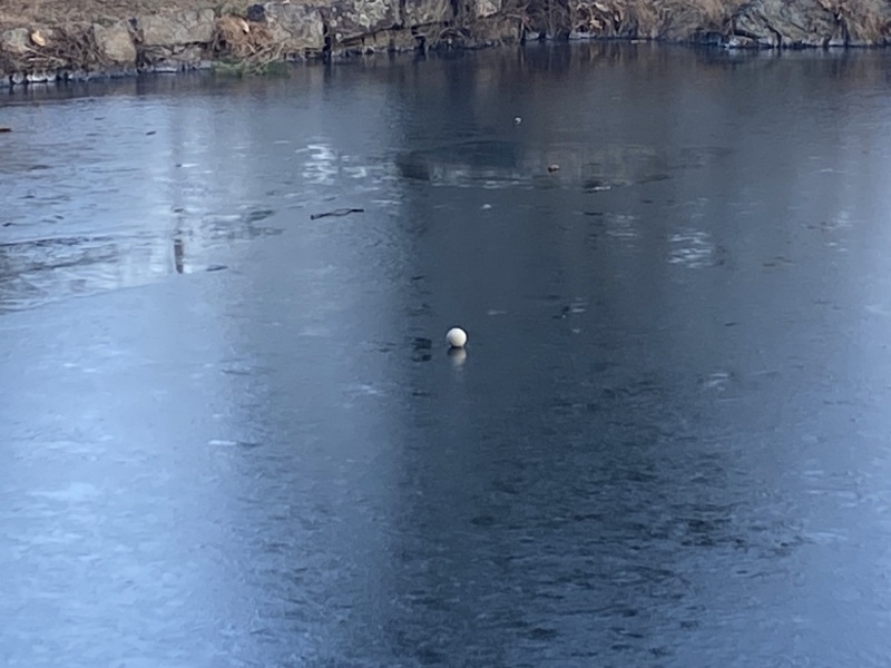 Come and tell me your dull and unexciting news 24: Calmly through the day 