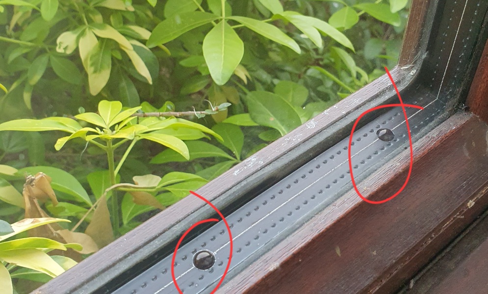 Please tell me what these li'l things are, inside the window panes. Would it say anything about the age of the windows at all ? Pic attached. Thank you