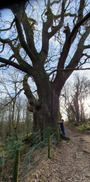 Any Witches Here?- Part 18