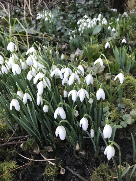 Come and tell me your dull and unexciting news 24: Calmly through the day 