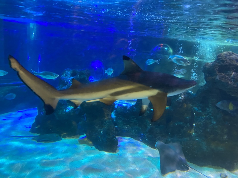 Come and tell me your dull and unexciting news 24: Calmly through the day 