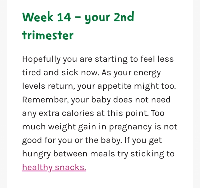 August Due Date Crew - Into Trimester 2 (Thread 6)