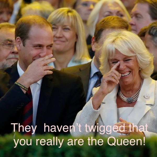 Why is the Queen commenting on the Roald Dahl controversy?