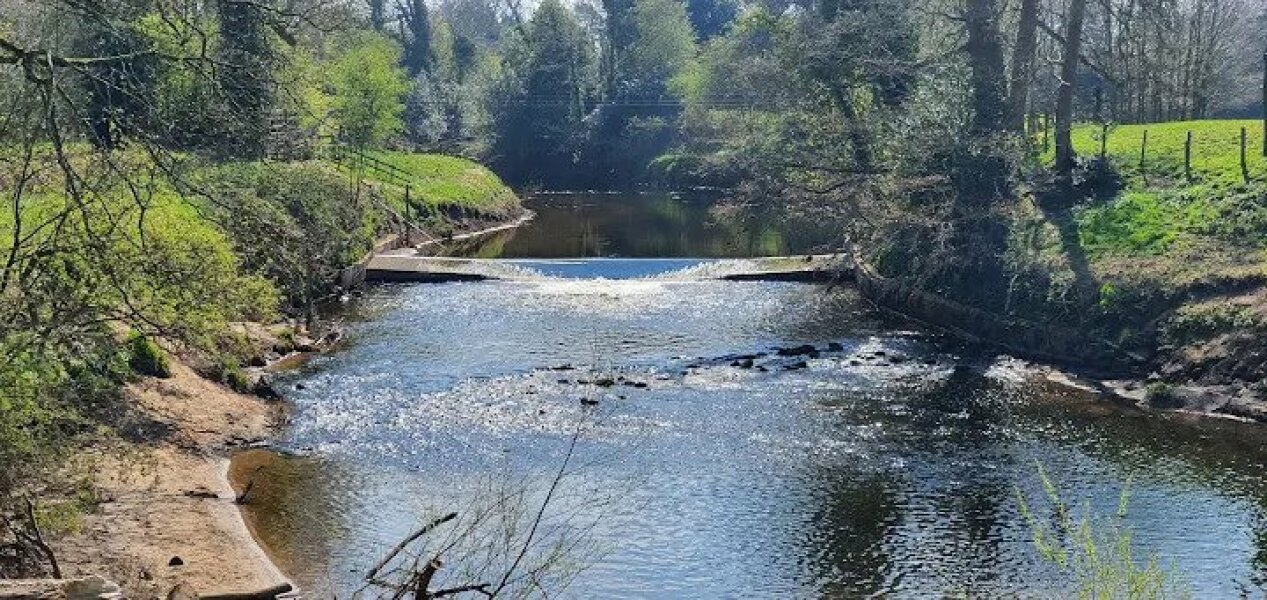 Missing Woman Nicola Bulley 6