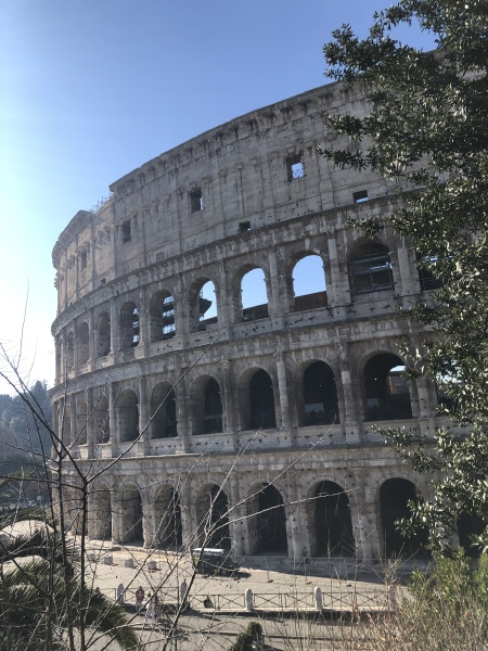 Anyone been on a tour in Rome? Any other Rome tips?