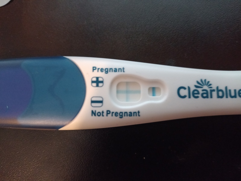 Due November 2023 ✨