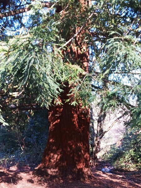 Any Witches Here?- Part 18