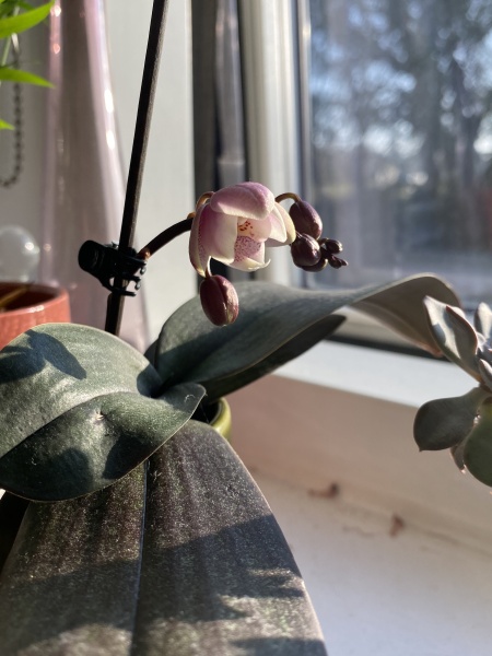 Thread 5 - TalkExiles: "The Planet Goes On Being Round"