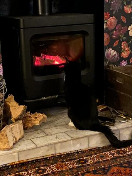 Cat just asked ‘What else?’ re food