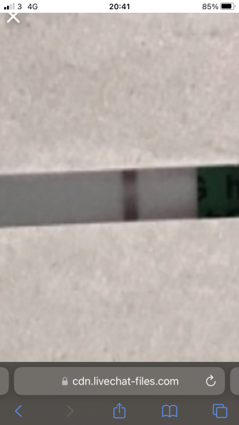 my pregnancy test