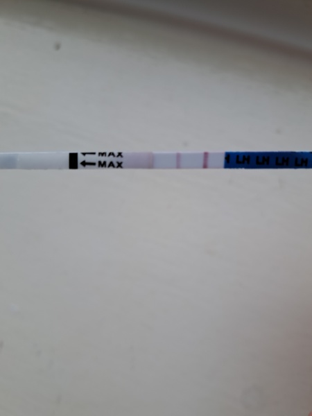 Is this ovulation strip positive 