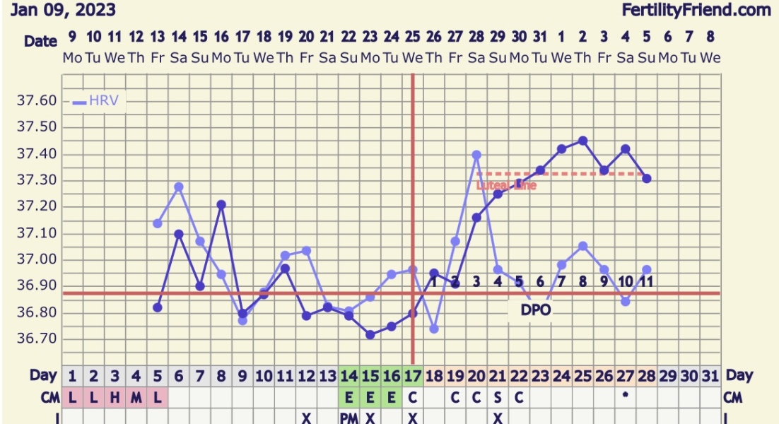 Fitness tracker stats pregnancy 