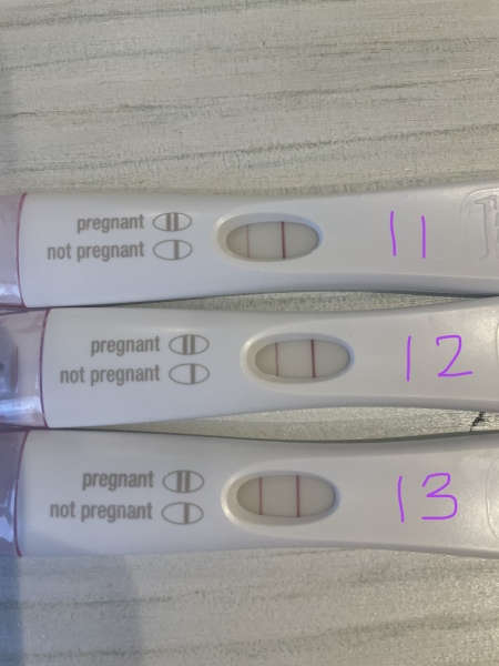 Due October 2023 -Thread 2