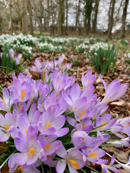 Thread 5 - TalkExiles: "The Planet Goes On Being Round"