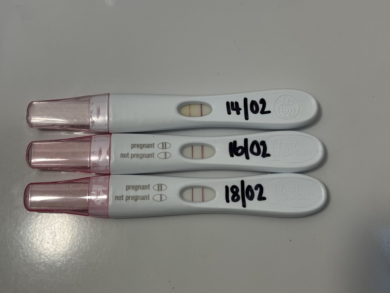 Due October 2023 -Thread 2