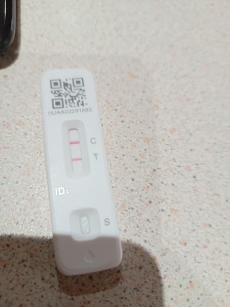 To not bother testing?