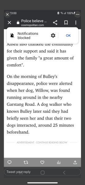 Missing Woman Nicola Bulley 2