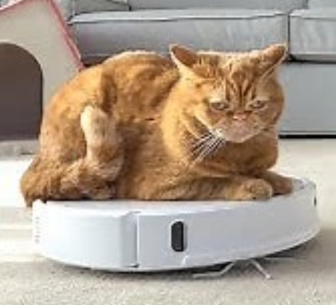 KJK v the Police this Friday