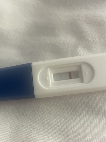 IVF February 2023